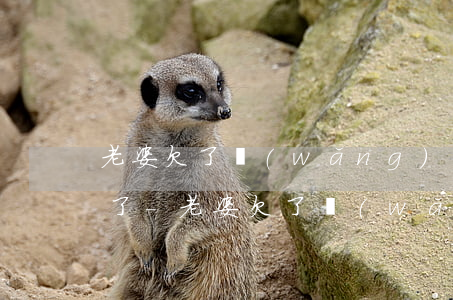 老婆欠了網(wǎng)貸是不是給別人用了-老婆欠了網(wǎng)貸是不是給別人用了借唄