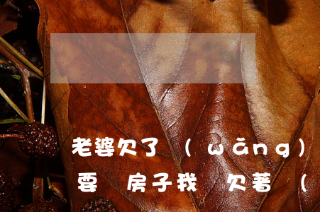老婆欠了網(wǎng)貸要我爸媽還(老婆要買房子我還欠著網(wǎng)貸)