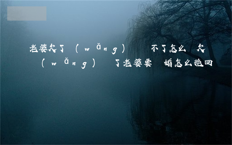 老婆欠了網(wǎng)貸還不了怎么辦(欠網(wǎng)貸了老婆要離婚怎么挽回)