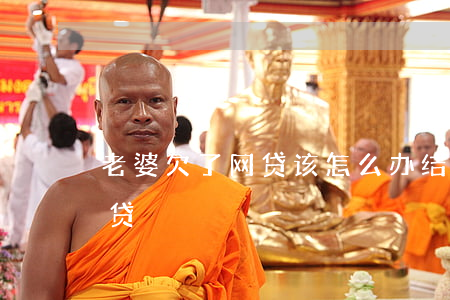 老婆欠了网贷该怎么办（结婚后发现老婆欠网贷）