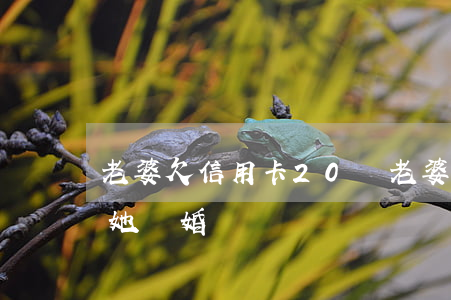 老婆欠信用卡20萬(老婆欠信用卡50萬和她離婚嗎)