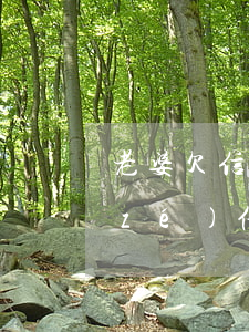 老婆欠信用卡50萬(wàn),老公有責(zé)任嗎（媳婦欠信用卡15萬(wàn)）