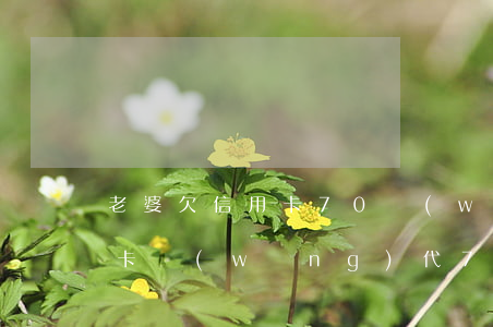 老婆欠信用卡70萬(wàn)(妻子欠信用卡網(wǎng)代70萬(wàn)我能報(bào)警處理嗎)