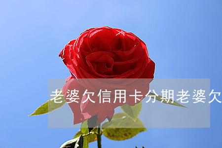 老婆欠信用卡分期(老婆欠信用卡分期)
