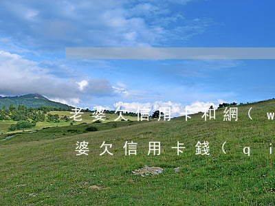 老婆欠信用卡和網(wǎng)貸跑路了(老婆欠信用卡錢(qián)跑了)