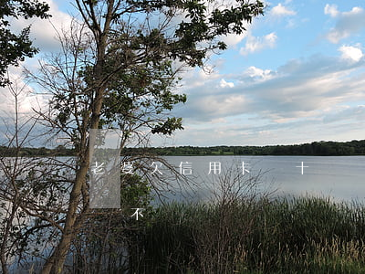老婆欠信用卡幾十萬萬(老婆欠信用卡幾十萬萬不還)