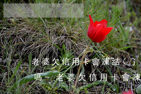 老婆欠信用卡會凍結(jié)丈夫銀行卡嗎-老婆欠信用卡會凍結(jié)丈夫銀行卡嗎怎么辦