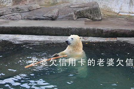 老婆欠信用卡的(老婆欠信用卡的)