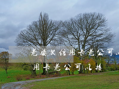 老婆欠信用卡老公可以接電話嗎-老婆欠信用卡老公可以接電話嗎怎么辦