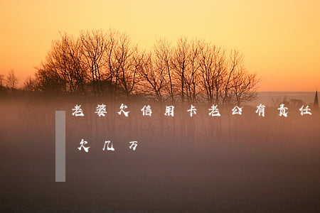 老婆欠信用卡老公有责任吗（老婆信用卡偷偷欠几万）