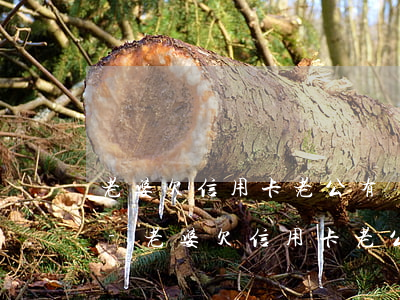 老婆欠信用卡老公有還錢的義務(wù)嗎-老婆欠信用卡老公有還錢的義務(wù)嗎怎么辦