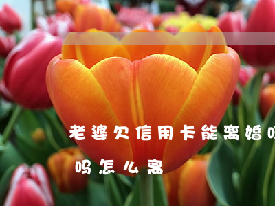 老婆欠信用卡能离婚吗(老婆欠信用卡能离婚吗怎么离)