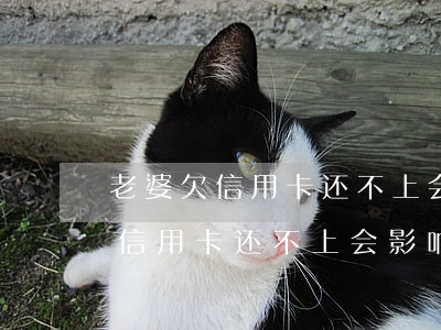 老婆欠信用卡还不上会影响家庭吗-老婆欠信用卡还不上会影响家庭吗知乎