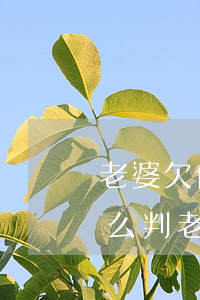 老婆欠信用卡離婚之后兩個(gè)孩子怎么判（老婆欠信用卡想離婚）