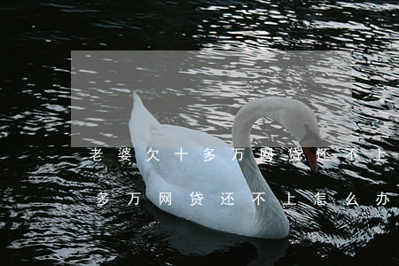 老婆欠十多万网贷还不上怎么办-老婆欠十多万网贷还不上怎么办呢