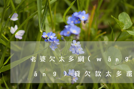 老婆欠太多網(wǎng)貸還不起(網(wǎng)貸欠款太多還不上怎么辦)