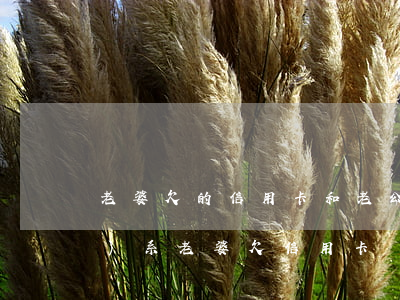 老婆欠的信用卡和老公有沒有關(guān)系(老婆欠信用卡錢對老公有什么影響)