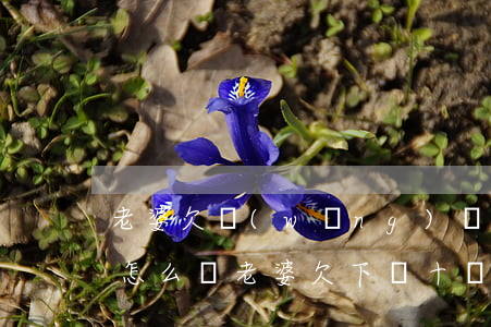 老婆欠網(wǎng)貸10萬(wàn)怎么辦(老婆欠下幾十萬(wàn)網(wǎng)貸)