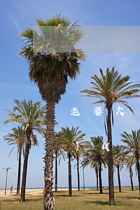 老婆欠網(wǎng)貸40多萬(wàn)我該不該離婚-老婆欠網(wǎng)貸40多萬(wàn)我該不該離婚呢
