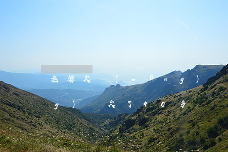 老婆欠網(wǎng)貸40萬(網(wǎng)貸欠了40多萬)
