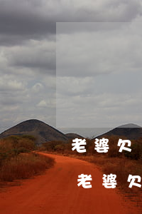 老婆欠網(wǎng)貸80萬(wàn)(老婆欠了10萬(wàn)多的網(wǎng)貸)