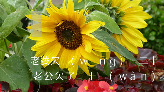 老婆欠網(wǎng)貸二十萬(wàn)(老公欠了幾十萬(wàn)網(wǎng)貸)