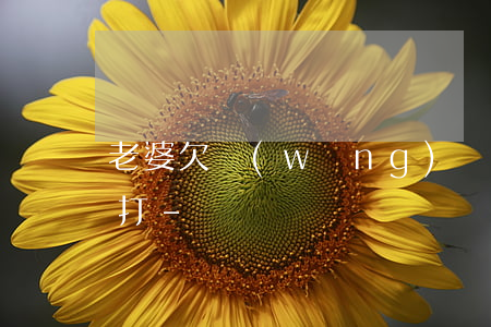 老婆欠網(wǎng)貸催收電話天天給我打-