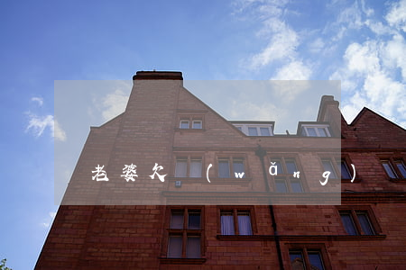 老婆欠網(wǎng)貸六萬多怎么跟老公說