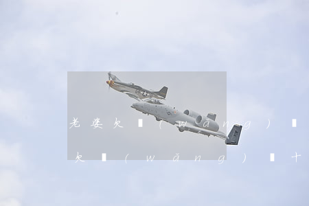 老婆欠網(wǎng)貸十幾萬怎么辦(老公欠網(wǎng)貸十多萬怎么辦)