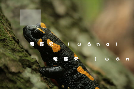 老婆欠網(wǎng)貸她自己可以買房買車嗎(老婆欠網(wǎng)貸她自己可以買房買車嗎)