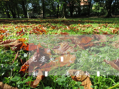 老婆欠網(wǎng)貸會影響老公分期付款嗎-老婆欠網(wǎng)貸會影響老公分期付款嗎怎么辦