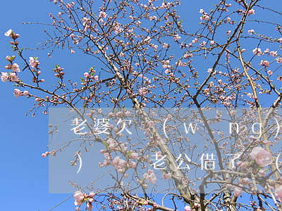 老婆欠網(wǎng)貸老公有義務(wù)還嗎(老公借了網(wǎng)貸還不上老婆有責(zé)任嗎)