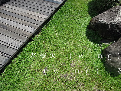老婆欠網(wǎng)貸能辦理離婚嗎(欠了網(wǎng)貸老婆要離婚該怎么辦)