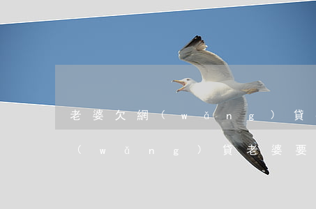 老婆欠網(wǎng)貸要離婚嗎6(欠了網(wǎng)貸老婆要離婚該怎么辦)