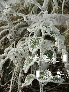 老婆欠網貸50萬該離婚嗎(老公欠網貸50萬我要怎么辦)