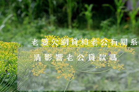 老婆欠網貸和老公有關系嗎(老婆有網貸沒還清,影響老公貸款嗎)