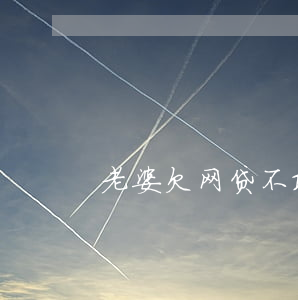 老婆欠网贷不敢说(欠了网贷老婆要和我离婚)