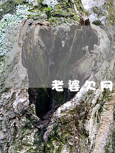 老婆欠网贷原谅她吗(老婆欠网贷原谅她吗)