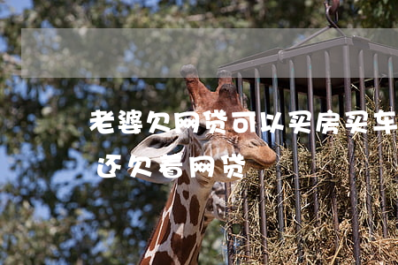 老婆欠网贷可以买房买车吗(老婆要买房子我还欠着网贷)