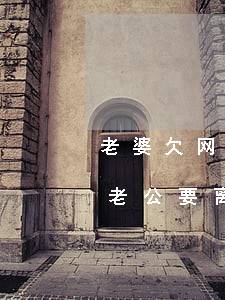 老婆欠网贷怀孕了男方提离婚(老婆欠了网贷老公要离婚)