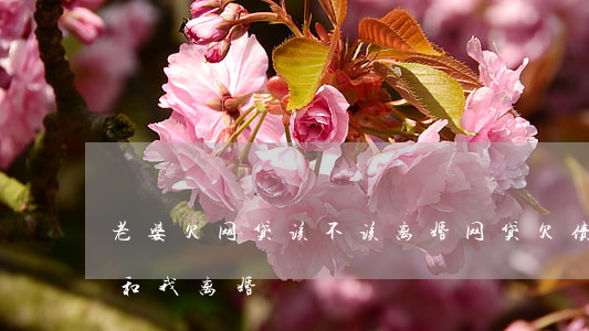 老婆欠网贷该不该离婚(网贷欠债太多,老婆要和我离婚)