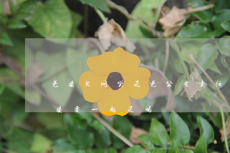 老婆欠网贷还老公有责任吗(老公网贷欠款老婆要一起还吗)