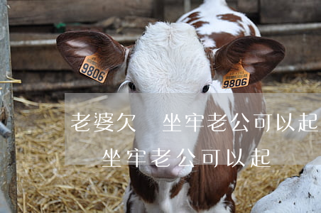 老婆欠錢坐牢老公可以起訴離婚嗎-老婆欠錢坐牢老公可以起訴離婚嗎知乎
