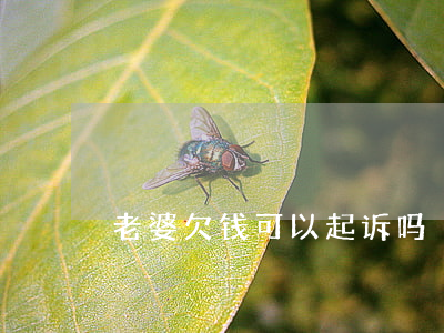 老婆欠钱可以起诉吗