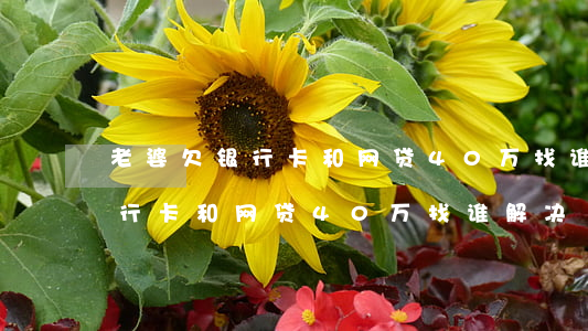 老婆欠银行卡和网贷40万找谁-老婆欠银行卡和网贷40万找谁解决