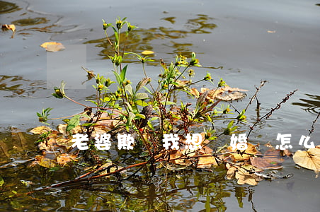 老婆欺騙我想離婚該怎么辦