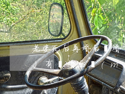 老婆死后再婚后離婚了怎么辦(有沒(méi)有離婚后沒(méi)有再婚老了后怎么辦)
