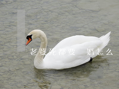 老婆死都要離婚怎么辦