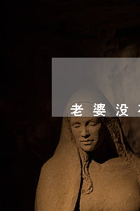 老婆没有离婚债务怎么办