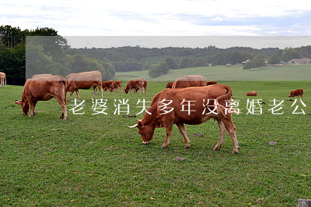 老婆消失多年没离婚(老公消失了怎么办离婚)